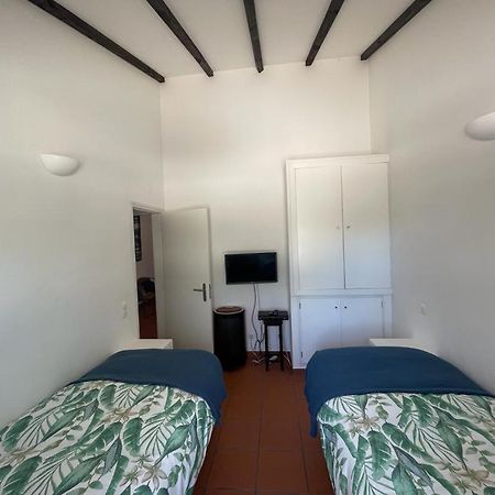 Casa Das Oliveiras Авис Екстериор снимка