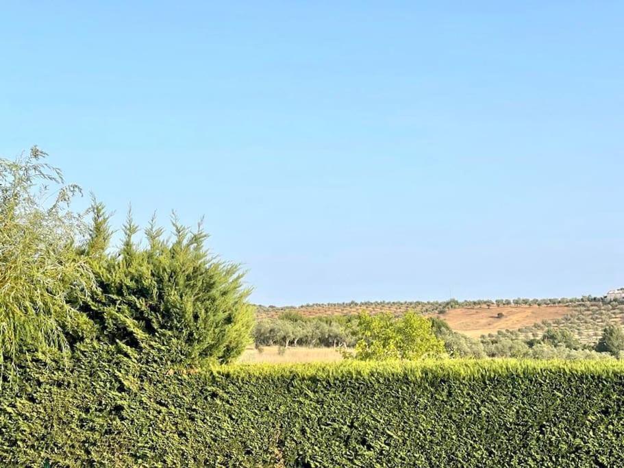 Casa Das Oliveiras Авис Екстериор снимка