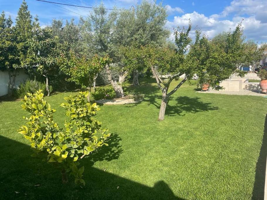 Casa Das Oliveiras Авис Екстериор снимка