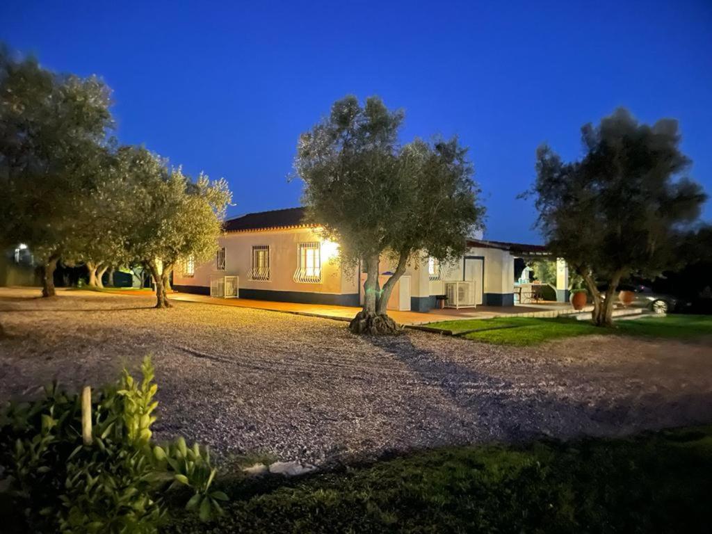 Casa Das Oliveiras Авис Екстериор снимка