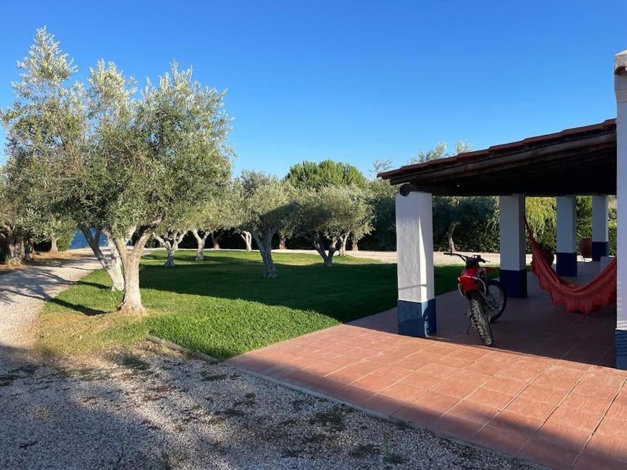Casa Das Oliveiras Авис Екстериор снимка