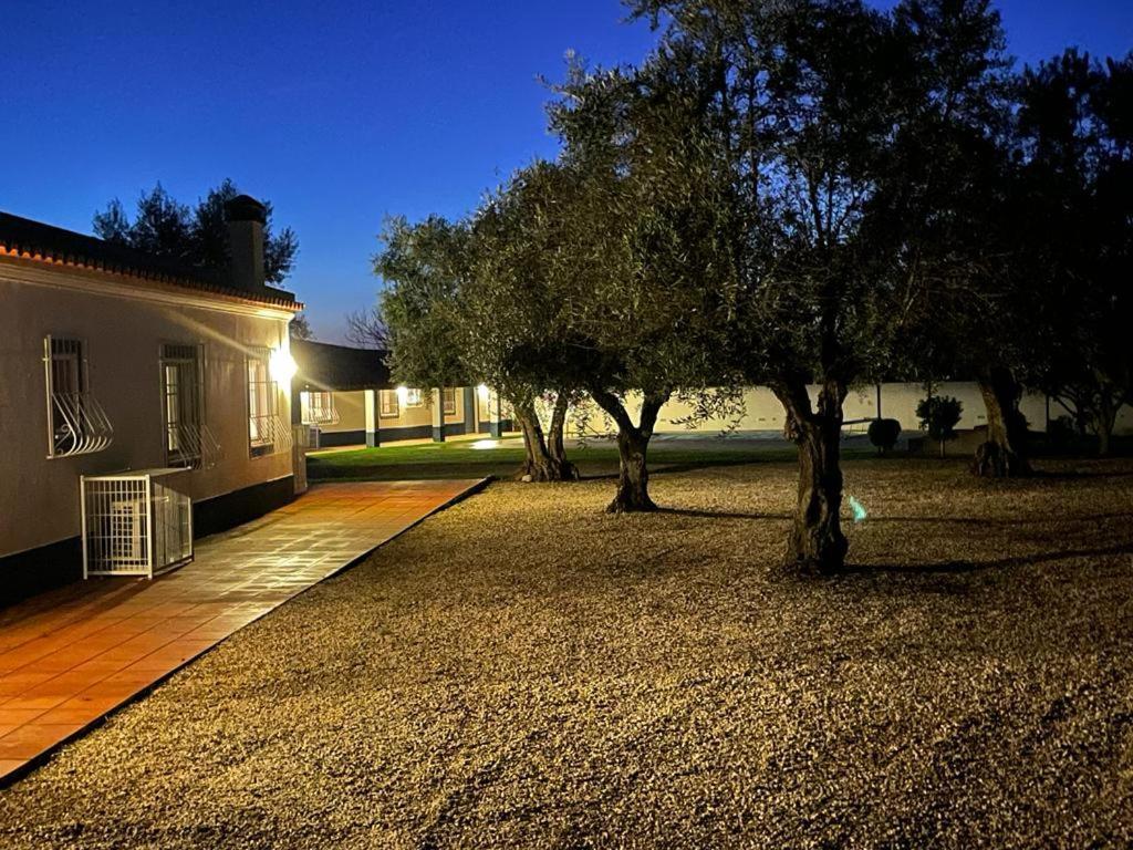 Casa Das Oliveiras Авис Екстериор снимка