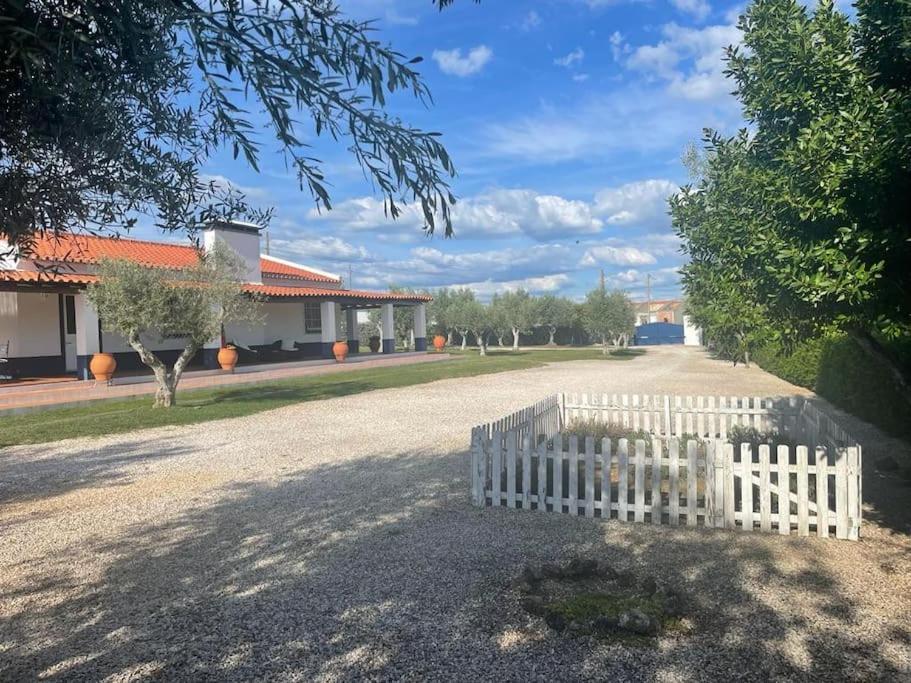 Casa Das Oliveiras Авис Екстериор снимка
