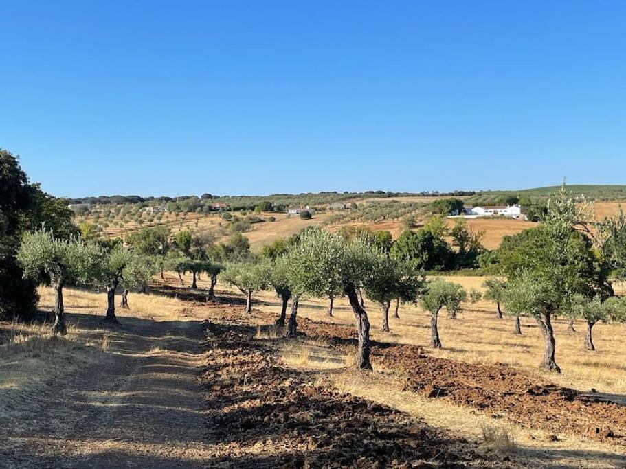 Casa Das Oliveiras Авис Екстериор снимка